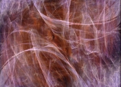 poster NO 14-728-8